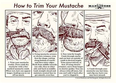 cliffton m fischbach how to comb your mustache|Small Half